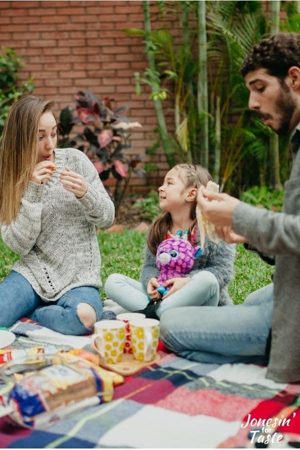 a family having a picnic outside