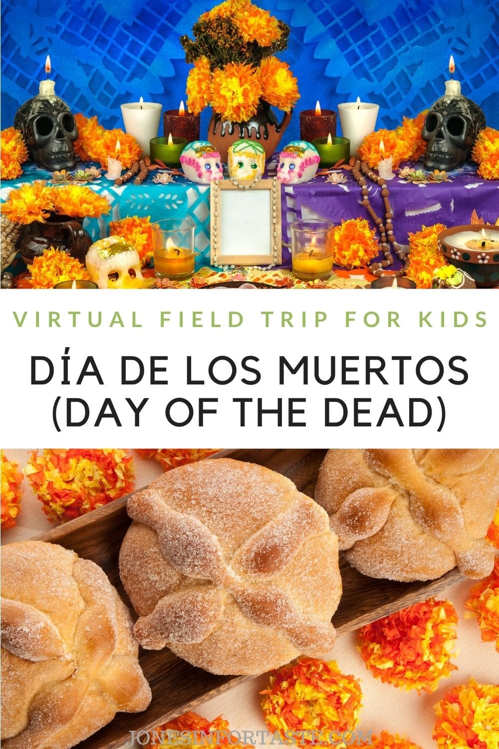 Day of the Dead Virtual Field Trip For Kids