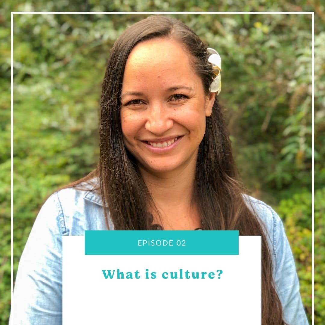 02: What is culture?